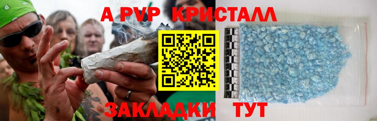 APVP СК Великий Новгород