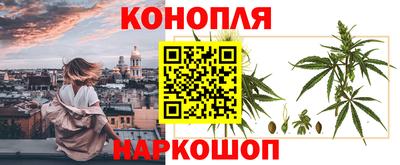 гидропоника Вязьма
