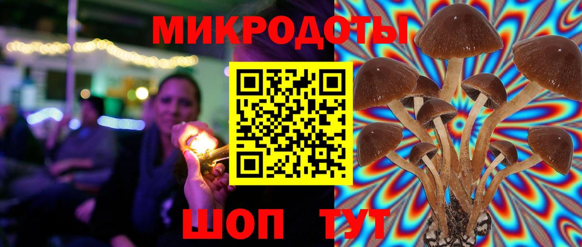 Великий Новгород  Галлюциногенные грибы Psilocybine cubensis  Вход с VPN  Псилоцибиновые грибы MAGIC MUSHROOMS 